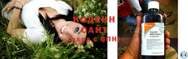 амф Верея