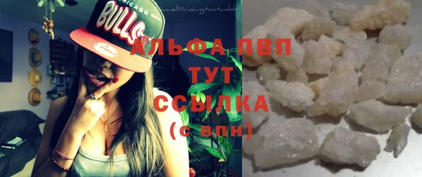амф Верея