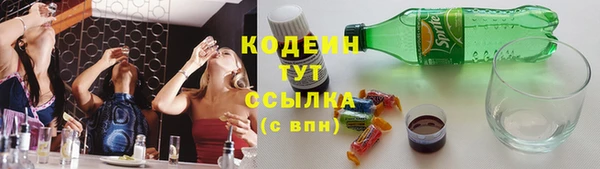 амф Верхний Тагил