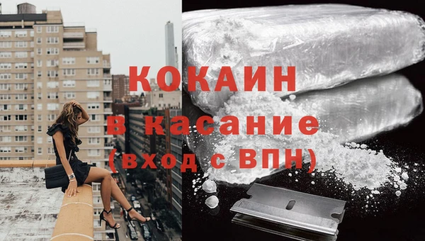 амф Верея