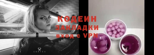 амф Верхний Тагил