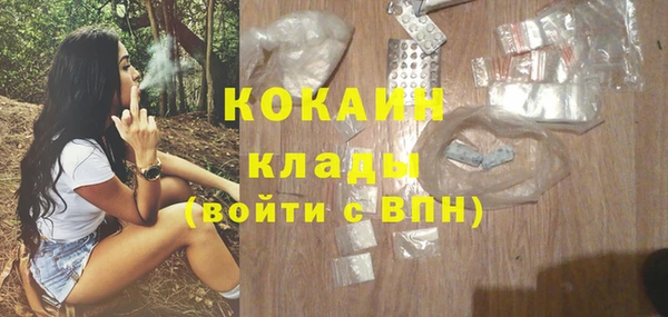 амф Верея
